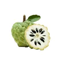 Custard Apple