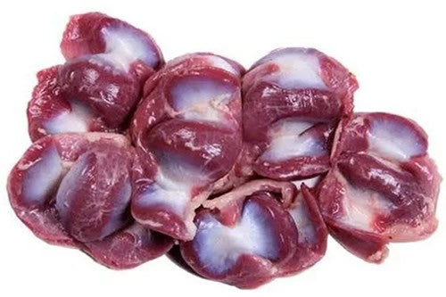 Gizzard