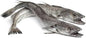 Silver Hake