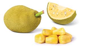 Jack Fruit